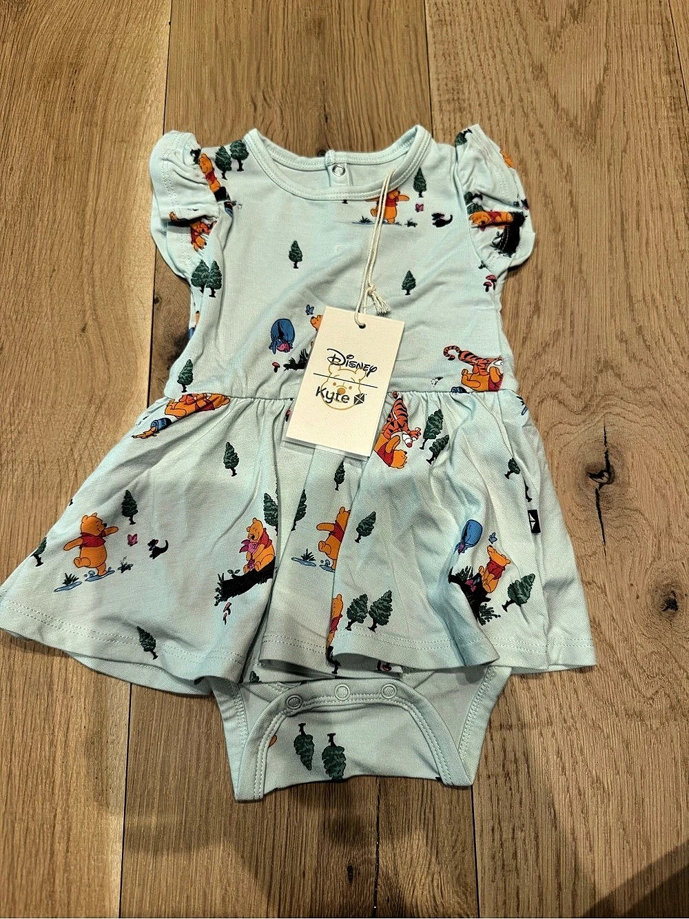 Disney Winnie the Pooh Kyte Baby dress bodysuit Dress